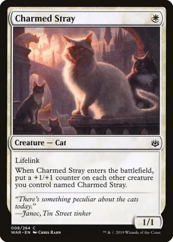 Charmed Stray · 8
