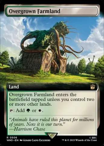 Overgrown Farmland · 506
