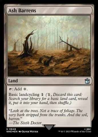 Ash Barrens · 848