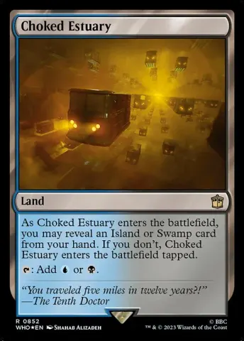 Choked Estuary · 852