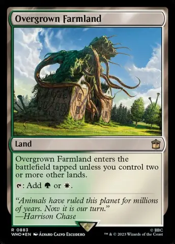 Overgrown Farmland · 883