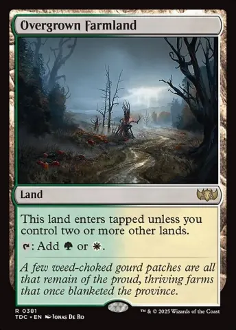 Overgrown Farmland · 381