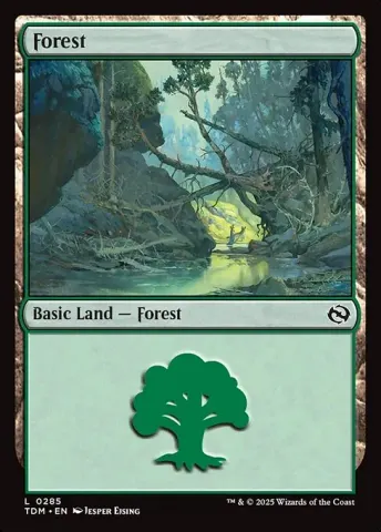 Forest · 285