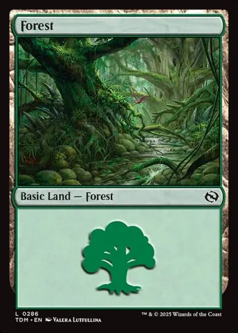 Forest · 286