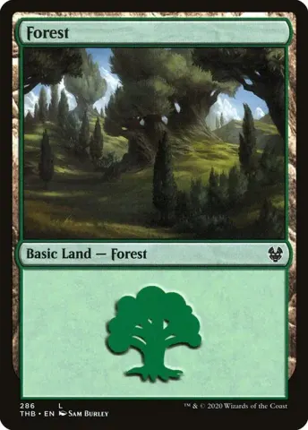 Forest · 286