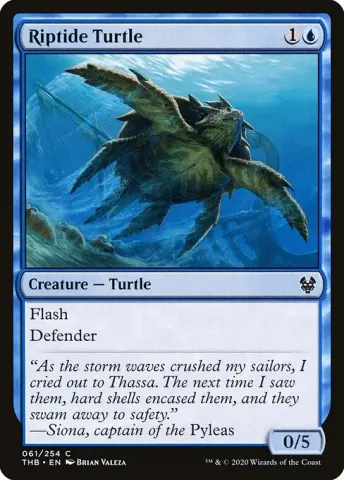 Riptide Turtle · 61