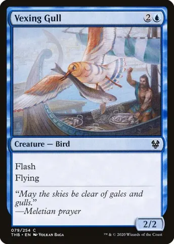 Vexing Gull · 79