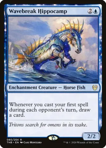 Wavebreak Hippocamp · 80