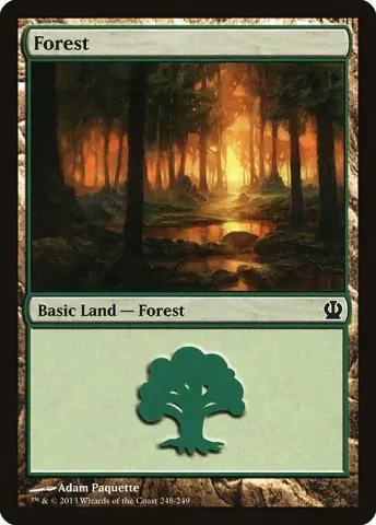 Forest · 248