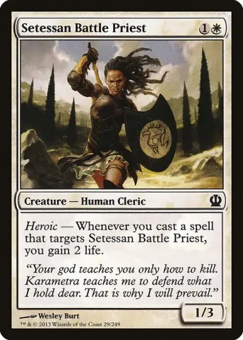 Setessan Battle Priest · 29