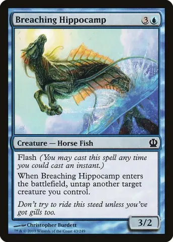 Breaching Hippocamp · 43