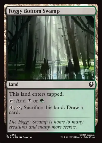 Foggy Bottom Swamp · 269