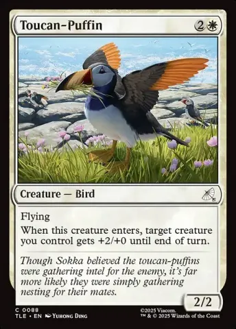 Toucan-Puffin · 88