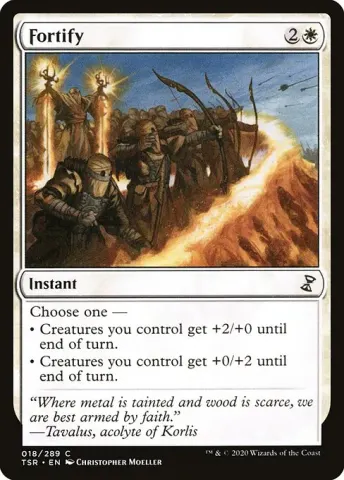 Fortify · 18