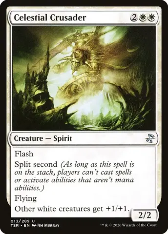 Celestial Crusader · 13
