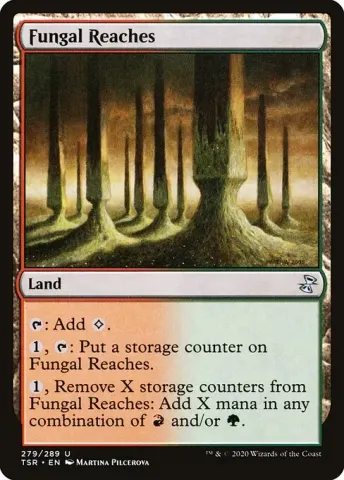 Fungal Reaches · 279