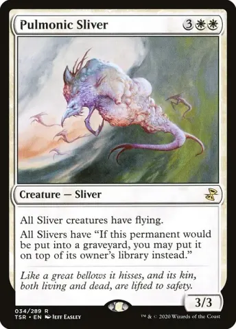 Pulmonic Sliver · 34