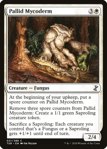 Pallid Mycoderm · 31