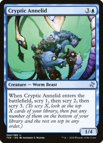 Cryptic Annelid · 60