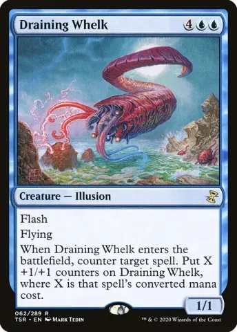 Draining Whelk · 62