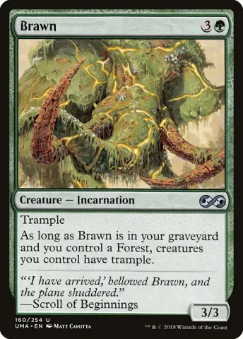 Brawn · 160