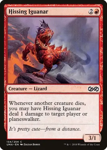 Hissing Iguanar · 134