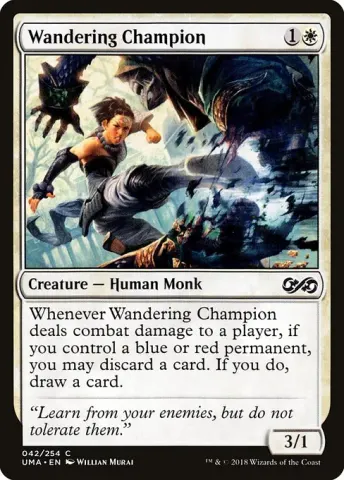 Wandering Champion · 42