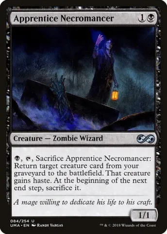Apprentice Necromancer · 84