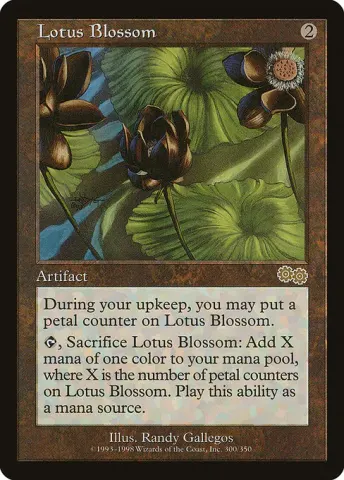 Lotus Blossom · 300