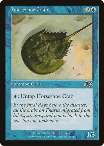 Horseshoe Crab · 80