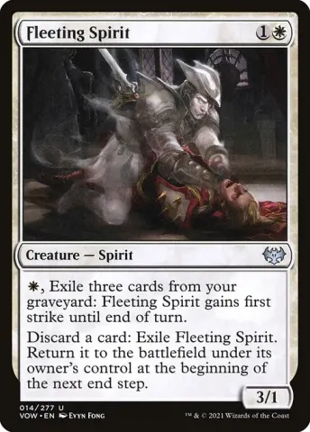 Fleeting Spirit · 14