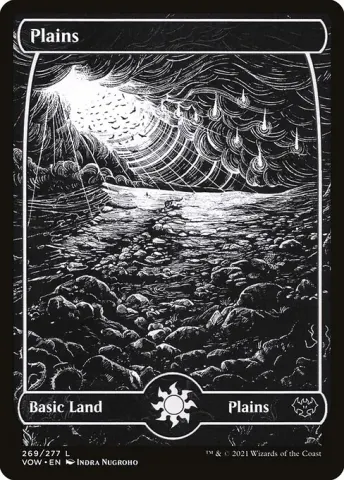 Plains · 269