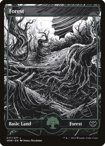 Forest · 277