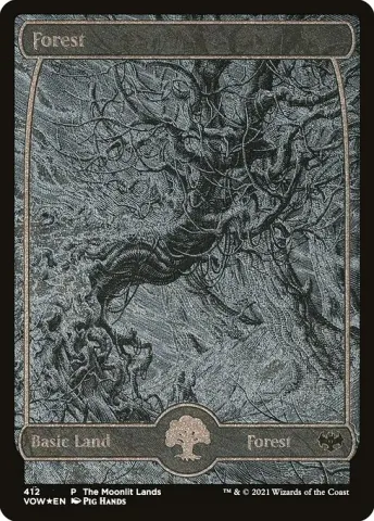 Forest · 412