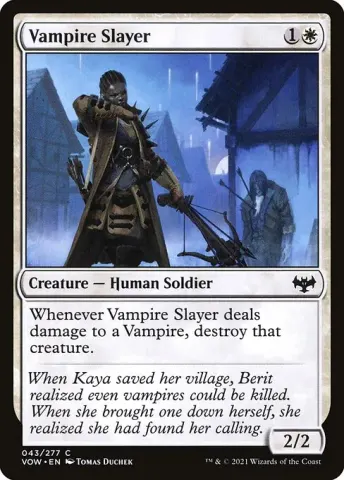Vampire Slayer · 43