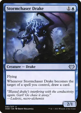 Stormchaser Drake · 82
