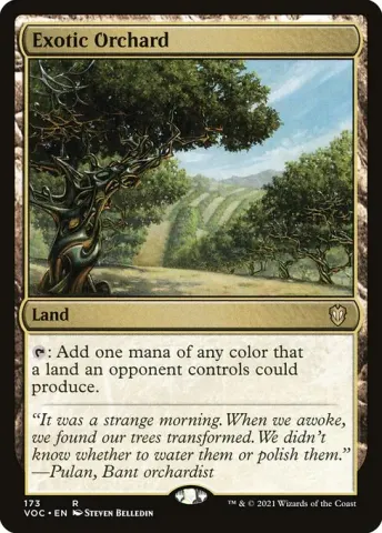 Exotic Orchard · 173