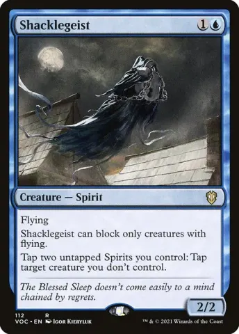 Shacklegeist · 112