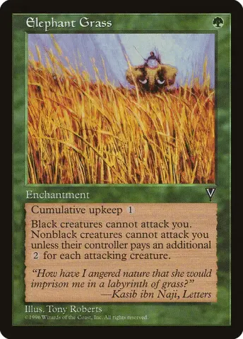 Elephant Grass · 104