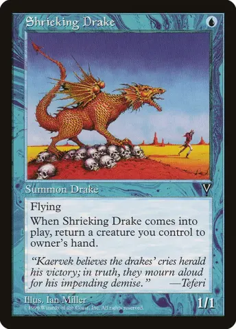 Shrieking Drake · 43