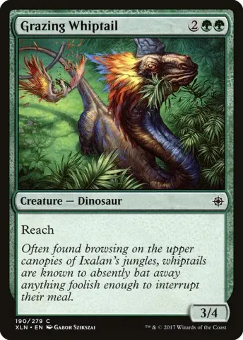 Grazing Whiptail · 190