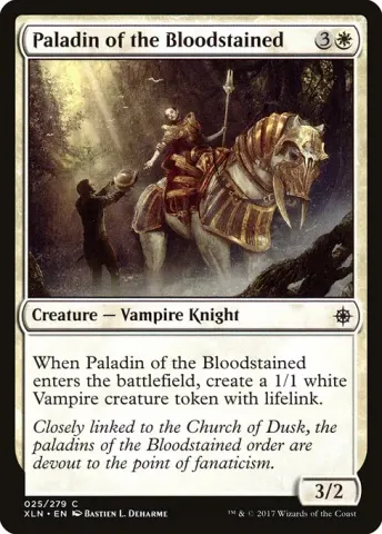 Paladin of the Bloodstained · 25