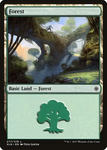 Forest · 277