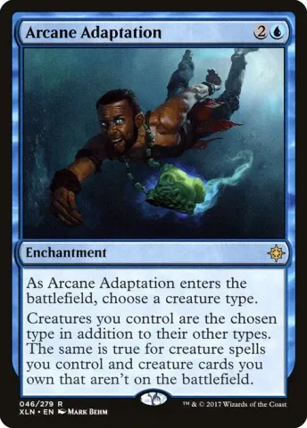 Arcane Adaptation · 46