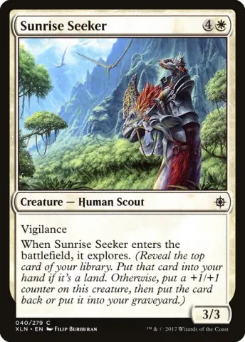 Sunrise Seeker · 40