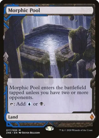 Morphic Pool · 17