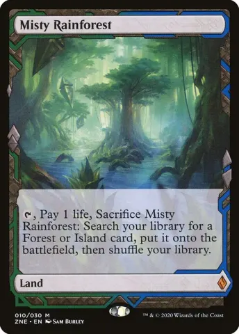 Misty Rainforest · 10