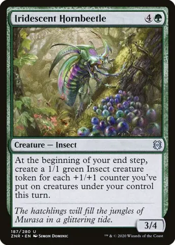 Iridescent Hornbeetle · 187