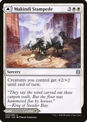 Makindi Stampede // Makindi Mesas · 26