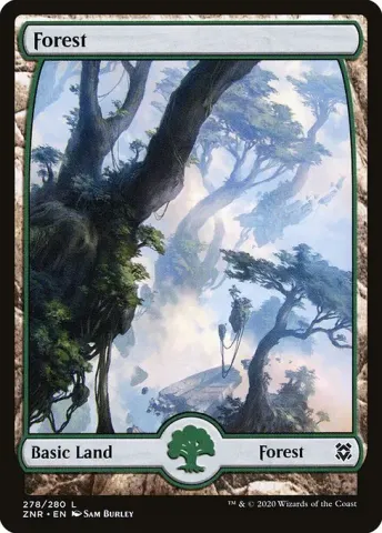Forest · 278